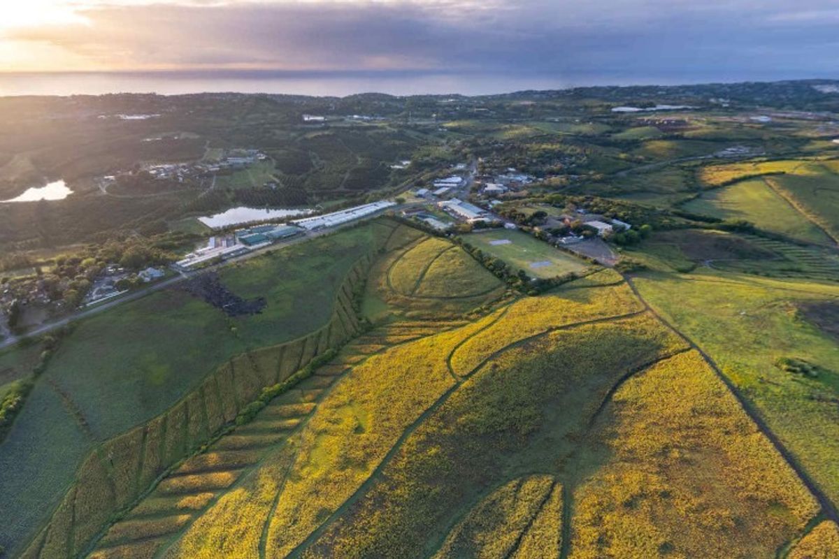 An aerial view of expansive agricultural land featuring terraced fields and surrounding landscape under a sunset sky.