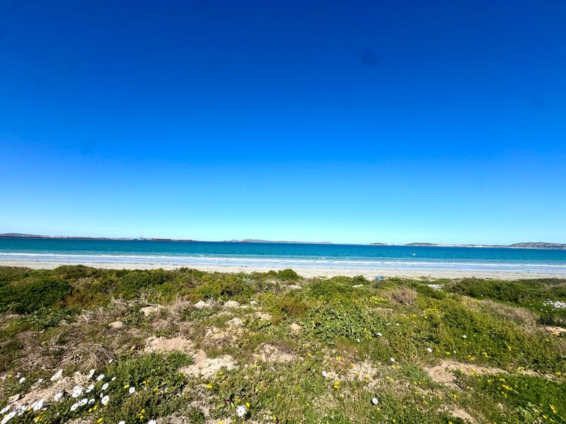 A scenic view of the coastline featuring natural vegetation, sandy beach, and clear ocean waters under a bright blue sky.