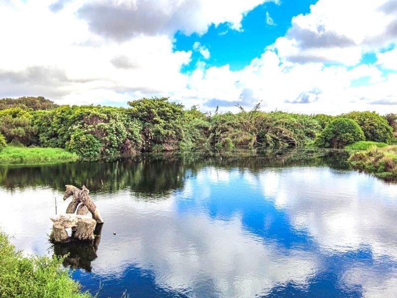 A scenic view of a natural pond surrounded by lush native vegetation and greenery on the residential land.