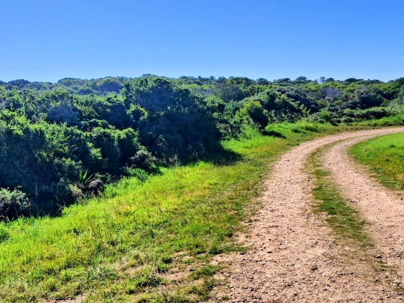 A view of a natural, undeveloped residential plot featuring a dirt access track and dense native vegetation.
