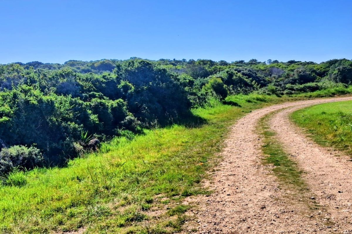 A view of a natural, undeveloped residential plot featuring a dirt access track and dense native vegetation.