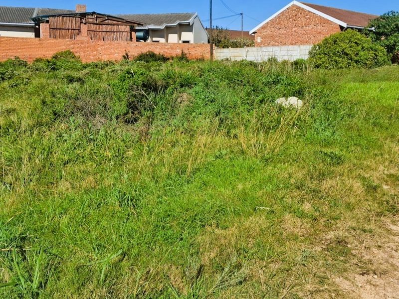 A vacant residential plot featuring overgrown grass and enclosed by a perimeter brick wall, offering a blank canvas for future development.