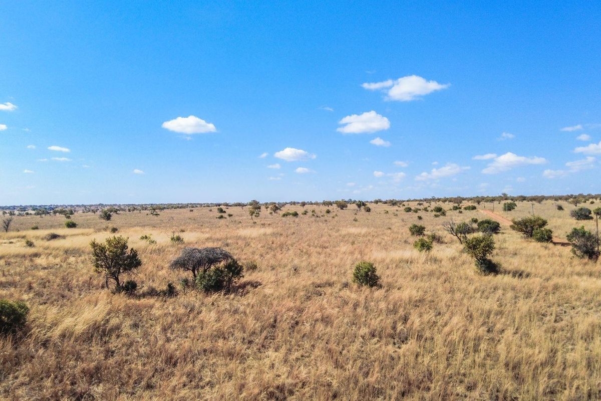 An aerial view of a large, open residential vacant land plot featuring native vegetation and a dirt access road.