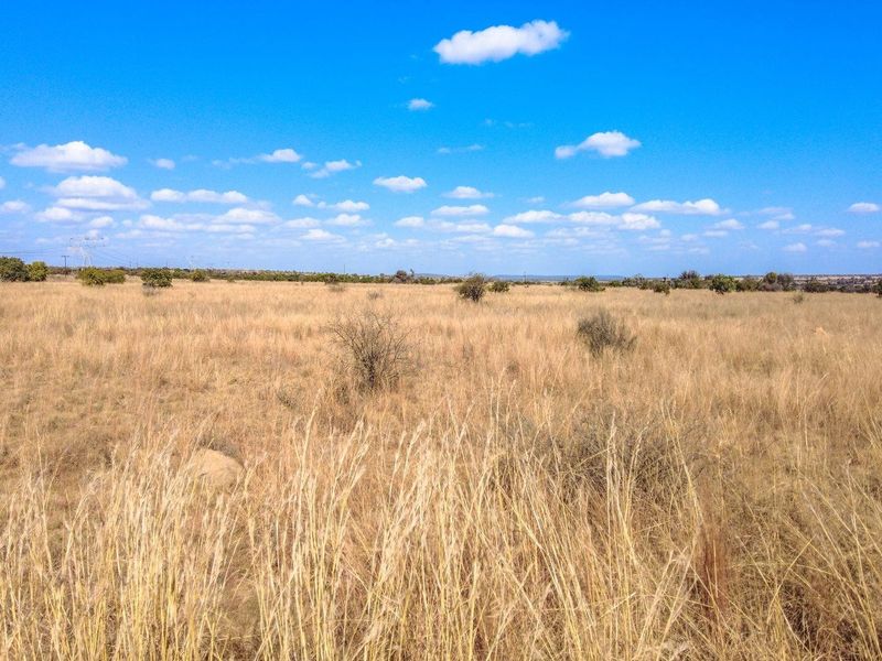A wide-angle view of an expansive, undeveloped residential plot featuring natural dry grassland and scattered indigenous shrubs under a clear blue sky.