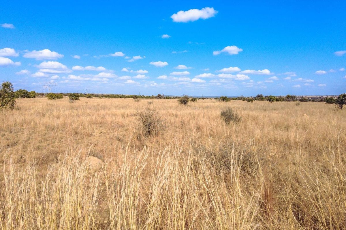 A wide-angle view of an expansive, undeveloped residential plot featuring natural dry grassland and scattered indigenous shrubs under a clear blue sky.