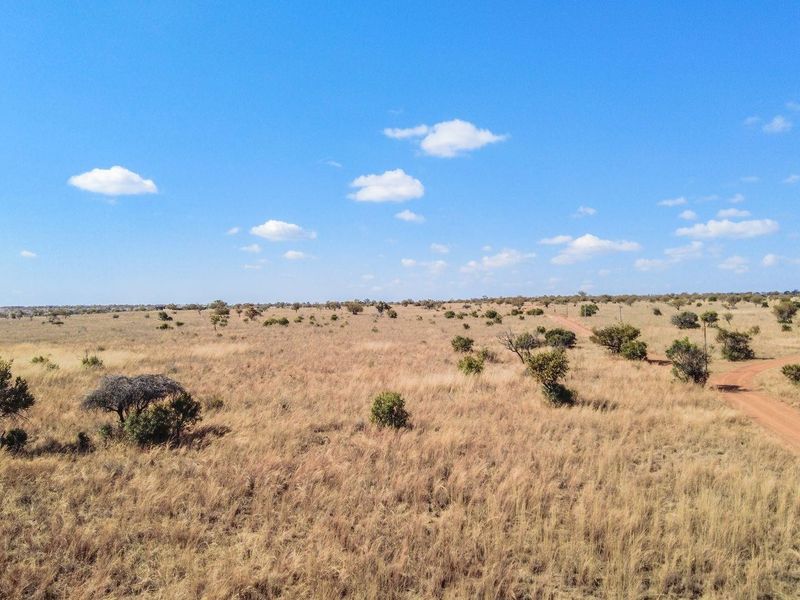 An aerial view of a large, undeveloped residential vacant land plot featuring native vegetation and a dirt access road.