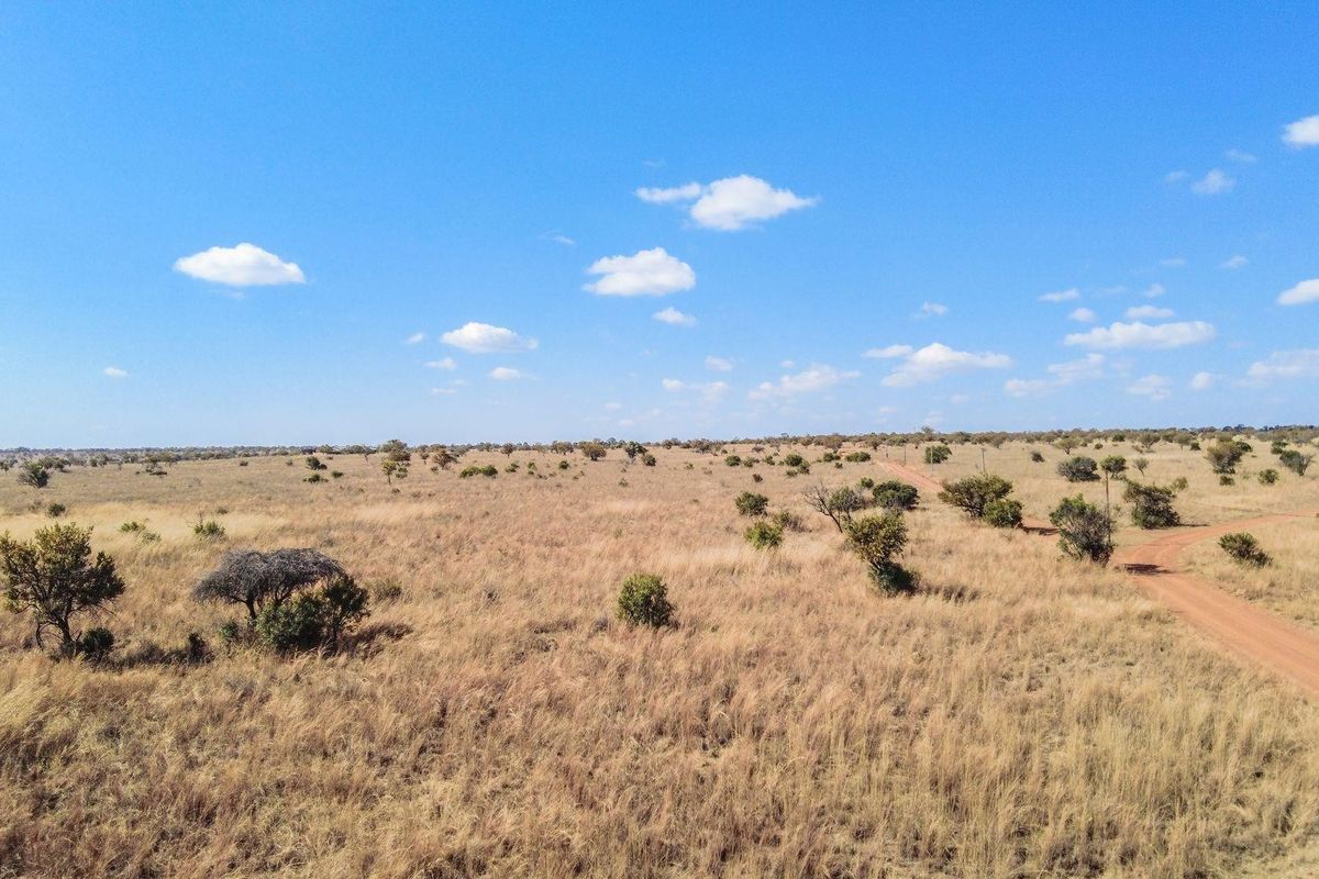 An aerial view of a large, undeveloped residential vacant land plot featuring native vegetation and a dirt access road.