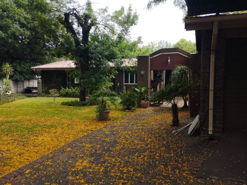 A view of the front garden and brick driveway leading to the covered entrance of the house.