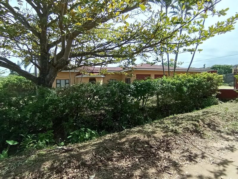 A view of the front facade of the house, partially obscured by mature trees and established garden hedging.