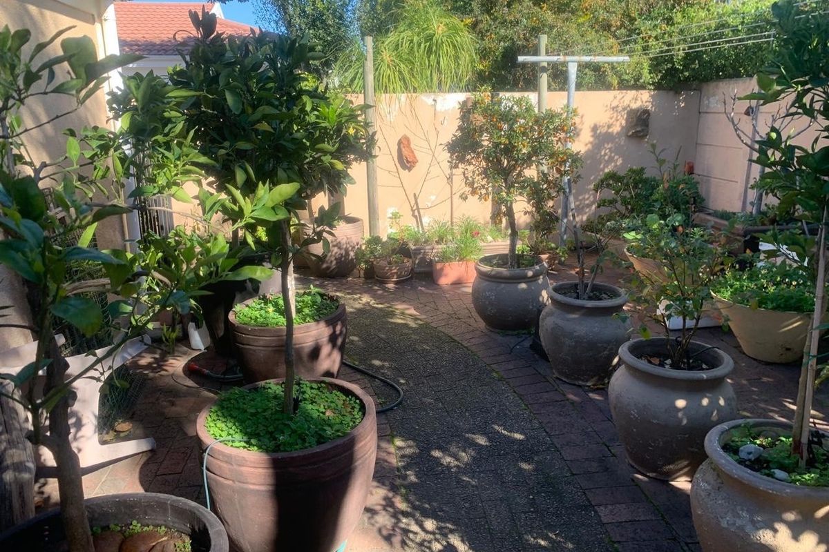 A private rear courtyard featuring paved flooring, boundary walls, and a rotary clothesline, offering a functional outdoor space.
