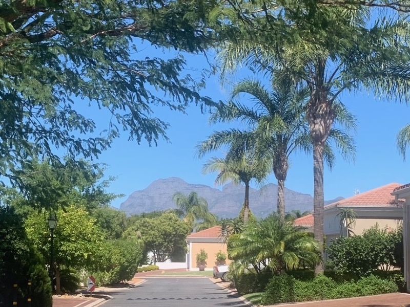 A scenic street view within a residential estate, featuring paved roads, established landscaping, and mountain views in the background.