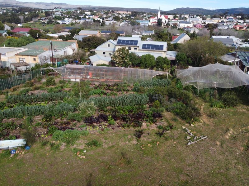 A RARE OFF-GRID LIFESTYLE ESTATE IN NAPIER - Photo 4