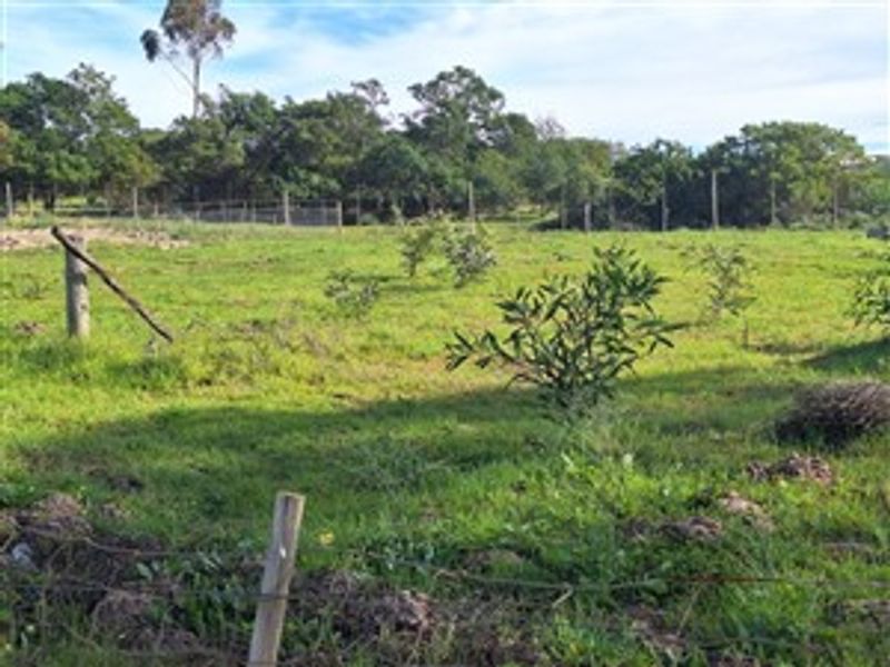 A view of a vacant residential plot featuring grassy terrain, scattered young trees, and perimeter wire fencing.