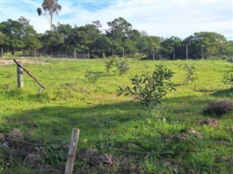 A view of a vacant residential plot featuring grassy terrain, scattered small trees, and perimeter wire fencing.