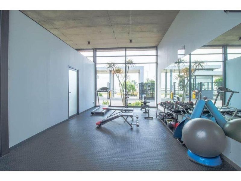A modern gym facility featuring exposed concrete ceilings, rubberized flooring, large wall mirrors, and floor-to-ceiling windows providing natural light.