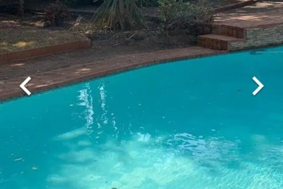 Outdoor swimming pool area featuring brick paving and a retaining wall, set within a garden environment.