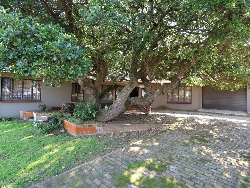 Front elevation of the house featuring a brick driveway, garage access, and a large mature tree integrated into the front garden landscape.