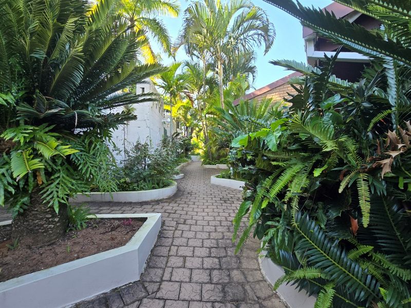A lush, landscaped garden pathway featuring paved walkways and raised concrete garden beds surrounded by mature palm trees and tropical foliage.