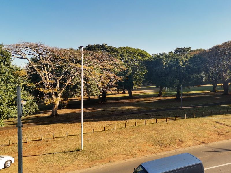 A scenic elevated view overlooking a public park with mature trees and open green space.