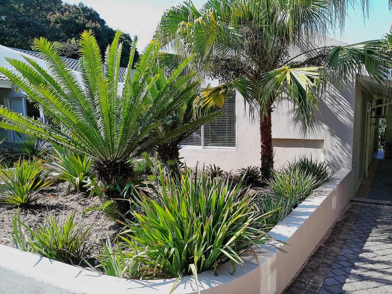 A well-maintained garden area featuring a raised planter bed, established palm and cycad plants, and a paved walkway alongside the house exterior.