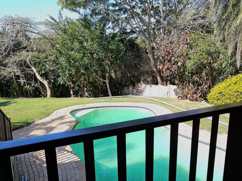 A view of a swimming pool with a paved surround, set within a lush, tree-lined garden area.