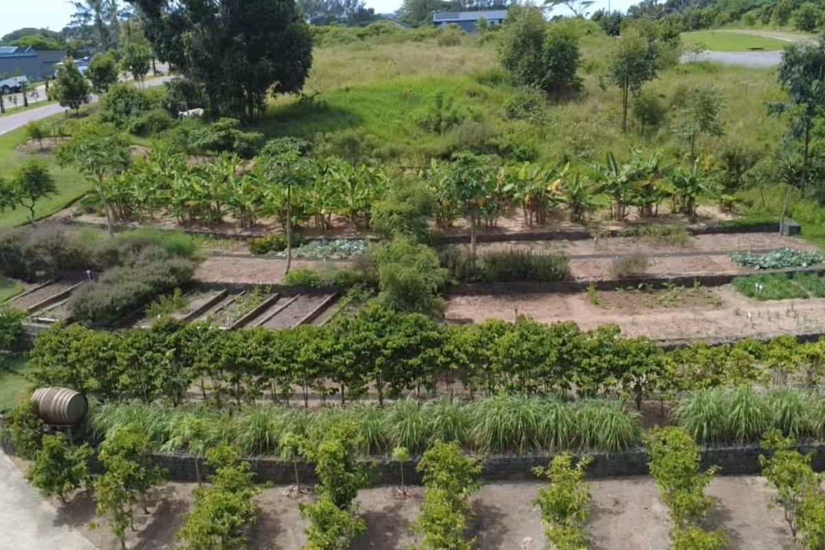 Aerial view of a well-maintained terraced garden featuring structured planting beds, fruit trees, and established landscaping within a residential estate setting.