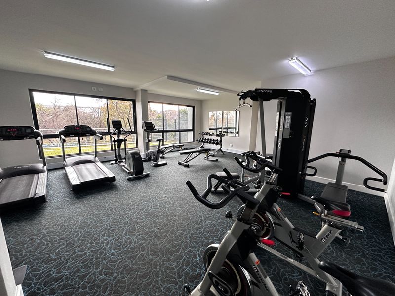 A well-maintained apartment complex gym featuring large windows for natural light, patterned carpeting, and a variety of professional fitness equipment.
