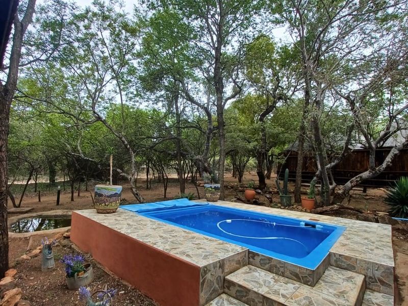 A raised swimming pool with tiled surround and steps, set within a natural, wooded garden environment.