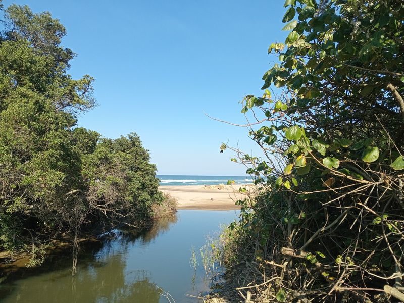 A scenic view of a natural estuary leading out to the sandy beach and ocean, framed by lush coastal vegetation.