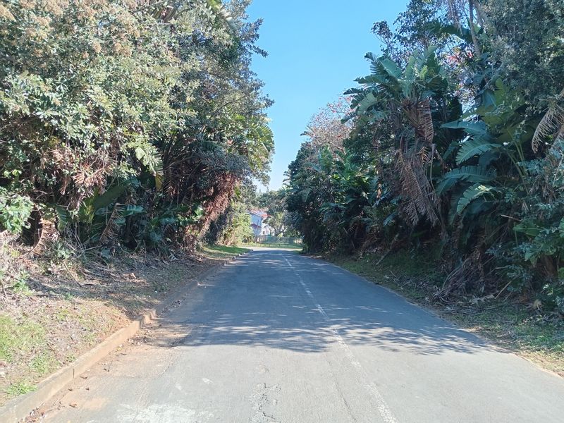 A view of the paved residential street approach lined with mature trees and established vegetation.