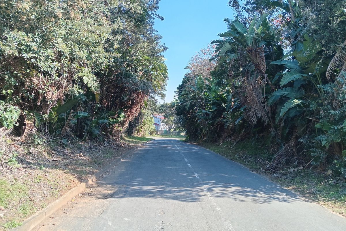 A view of the paved residential street approach lined with mature trees and established vegetation.