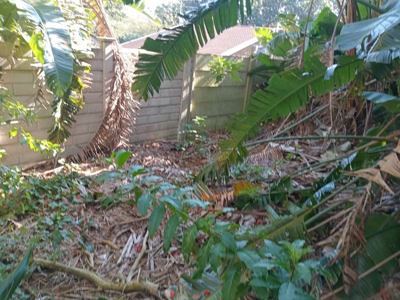 A view of a residential garden area featuring a precast concrete boundary wall, currently requiring significant clearing and maintenance of overgrown vegetation.