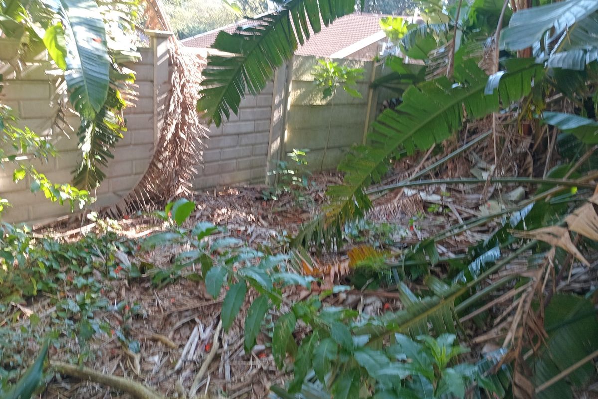 A view of a residential garden area featuring a precast concrete boundary wall, currently requiring significant clearing and maintenance of overgrown vegetation.