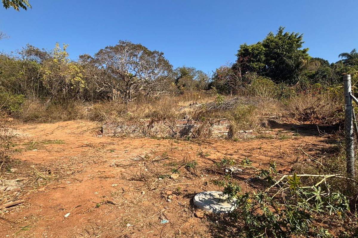 A vacant residential plot featuring a low brick retaining wall, chain link fencing, and natural vegetation, offering a blank canvas for future development.