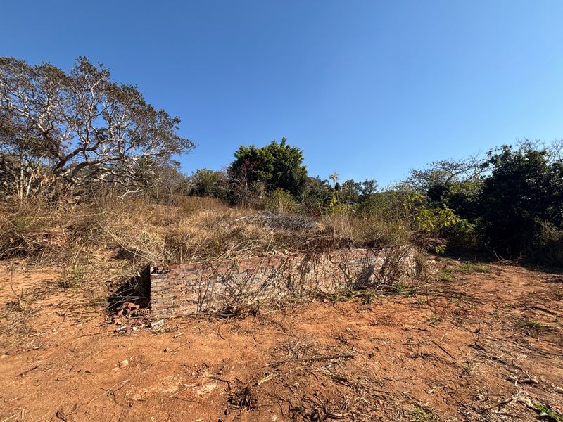 A view of a vacant residential plot featuring a low, weathered brick retaining wall surrounded by overgrown vegetation and natural terrain.