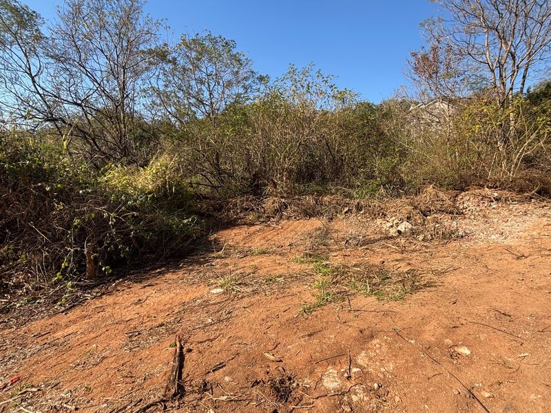 A view of a vacant residential plot featuring natural vegetation and cleared earth, ready for development.