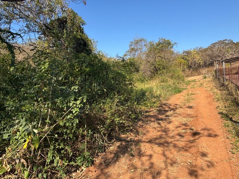 A view of a vacant residential plot featuring a dirt access path and dense, overgrown natural vegetation with perimeter wire fencing.