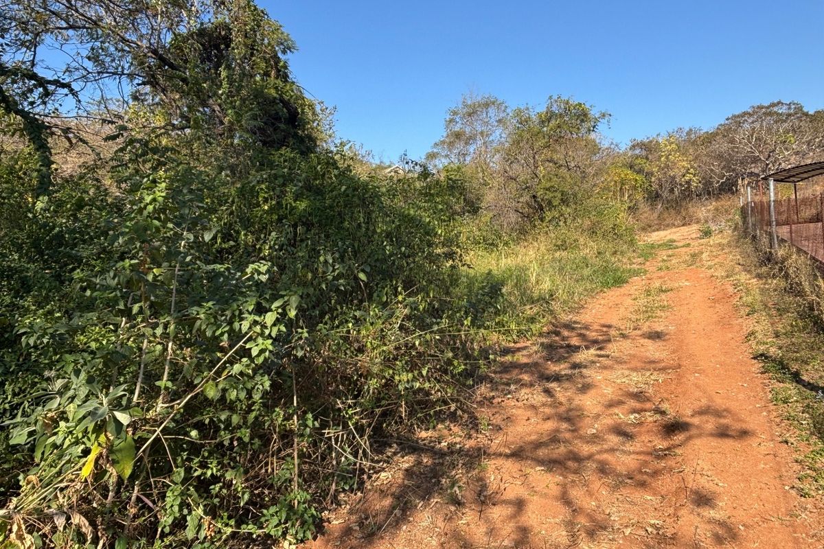 A view of a vacant residential plot featuring a dirt access path and dense, overgrown natural vegetation with perimeter wire fencing.
