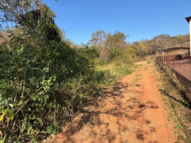 A view of a vacant residential plot featuring a dirt access path, overgrown natural vegetation, and perimeter chain-link fencing.