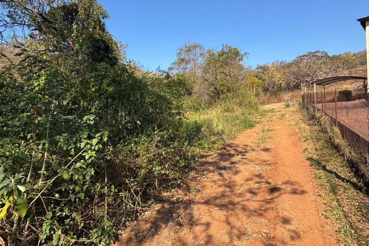 A view of a vacant residential plot featuring a dirt access path, overgrown natural vegetation, and perimeter chain-link fencing.