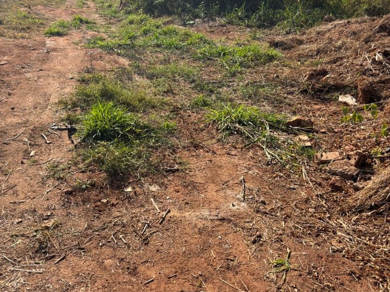 A view of an unimproved residential vacant land plot featuring natural vegetation and a dirt access path.