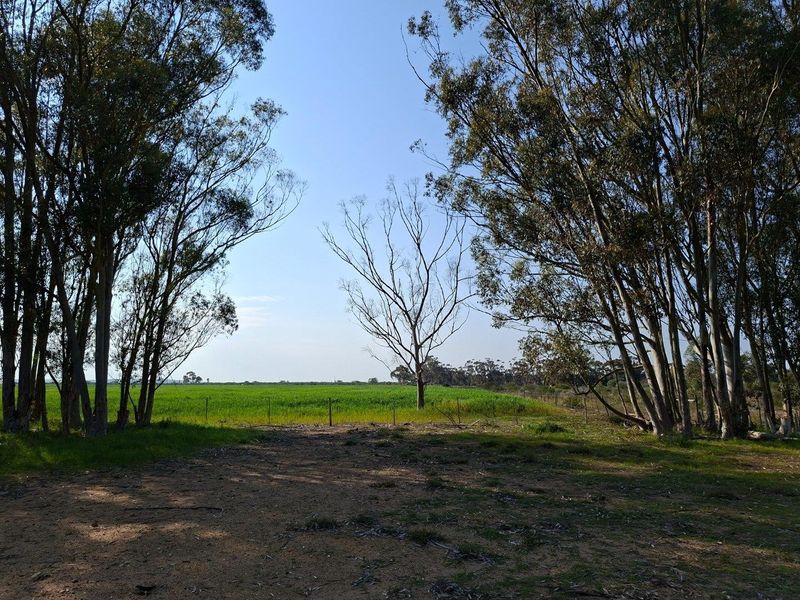 A scenic view of open farmland and green fields framed by mature trees on the property.