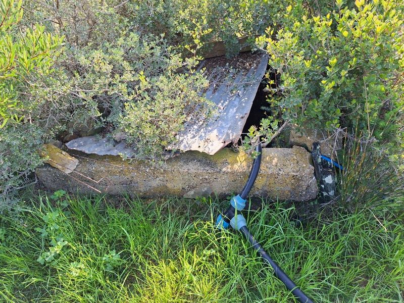 An outdoor utility area featuring a concrete structure with a corrugated metal cover and exposed irrigation piping, currently overgrown with vegetation.