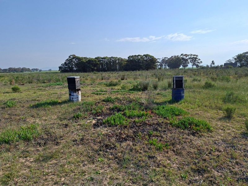 An open field on the farm property featuring natural vegetation and two beehive structures.