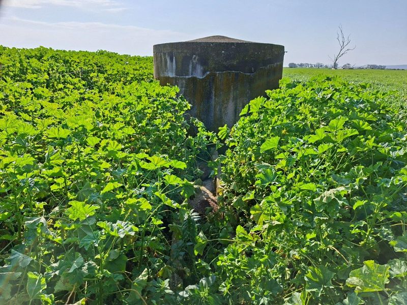 A weathered concrete water tank situated within a cultivated field on the farm property.
