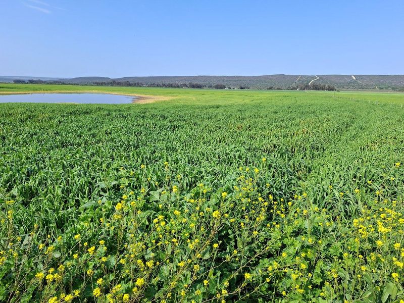 Expansive view of lush green farmland featuring a natural pond and rolling hills in the distance.