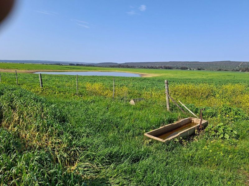 Expansive farm landscape featuring green fields, a natural pond, wire fencing, and a concrete livestock water trough.