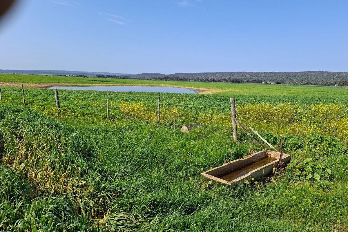 Expansive farm landscape featuring green fields, a natural pond, wire fencing, and a concrete livestock water trough.