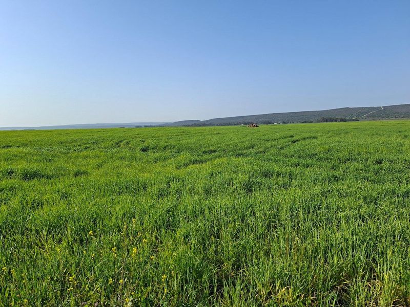 Expansive view of lush green agricultural farmland under a clear blue sky, showcasing the property's open landscape and rural setting.