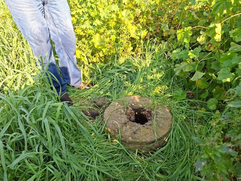 An overgrown garden area featuring a damaged, exposed concrete well cover requiring immediate safety attention.